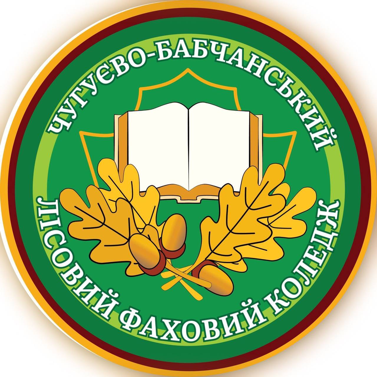 Лесной колледж бузулук. Чугуево Бабчанский Лесной техникум. Чугуево Бабчанский техникум. Картинка для детей Лесной колледж. Муромцевский лесхоз техникум.